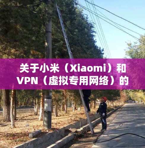 关于小米（Xiaomi）和VPN（虚拟专用网络）的关系，主要有以下几个方面的信息
